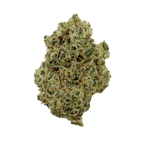 Gorilla Kush THCX 2.0