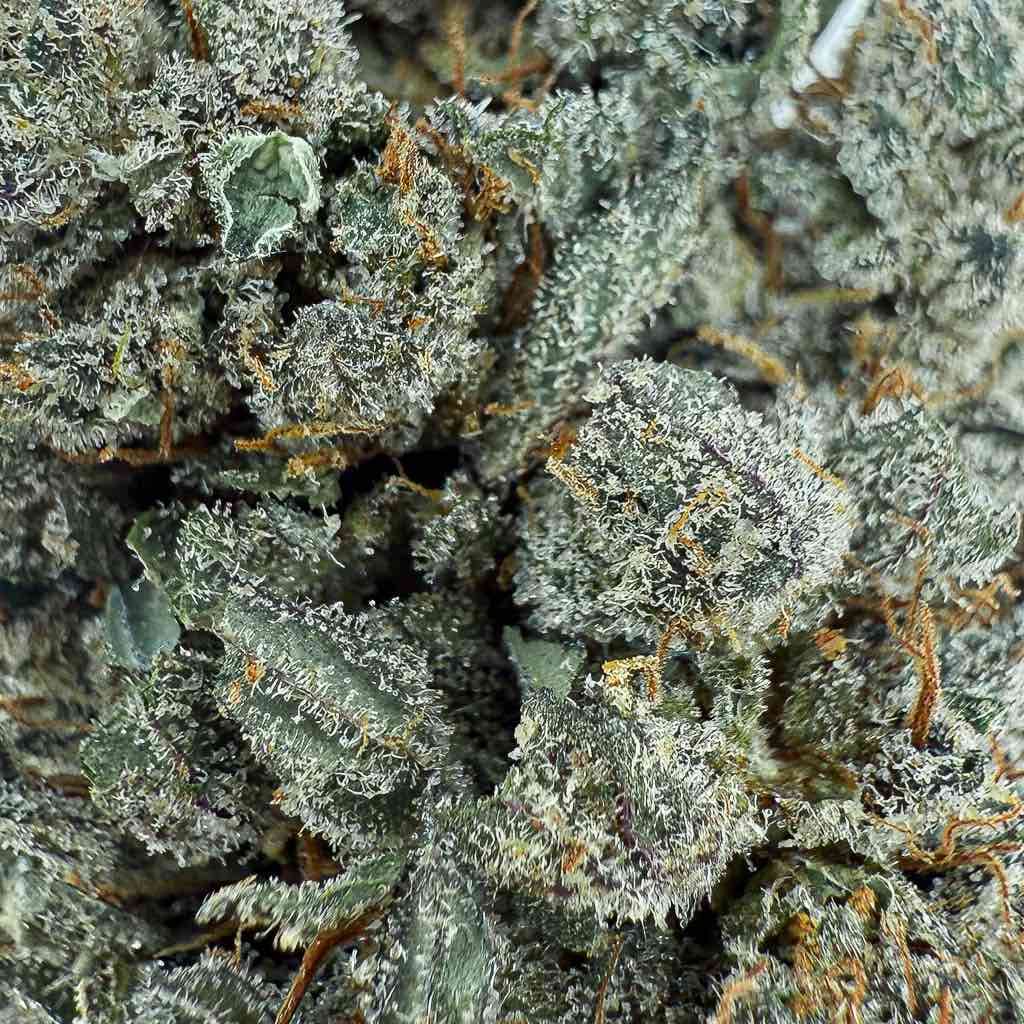 Sour Diesel THCX 2.0 2