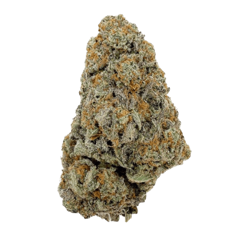 Buttercream Gelato THCX 2.0