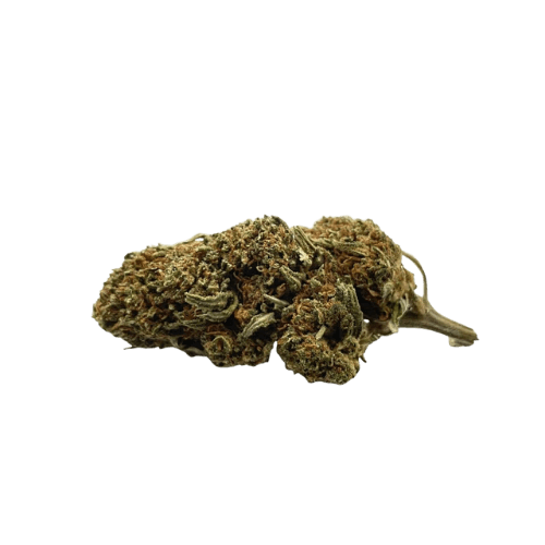 Jack Herer 2