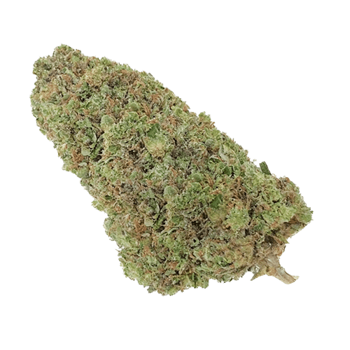 La Biscotti