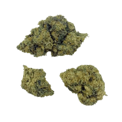 Amnésia Haze THCX 2.0 2