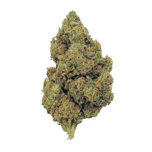 Amnésia Haze THCX 2.0