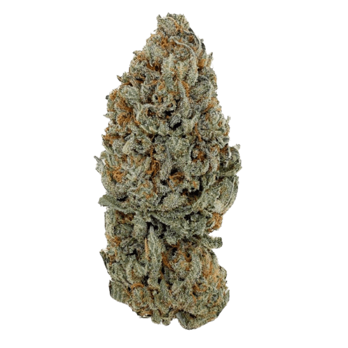 Sour Diesel THCX 2.0