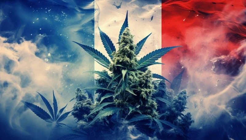 Législation CBD en France en 2025 ?